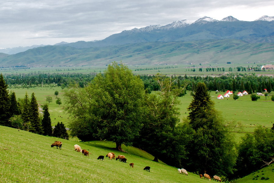 为什么新疆买东西不包邮,为啥买东西新疆永远不包邮