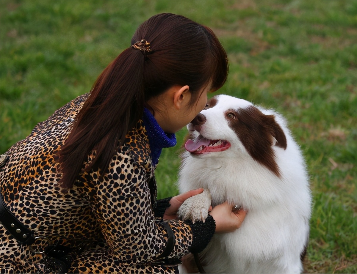 聊斋志异的1-9卷阅读笔记,聊斋志异第1章读后感