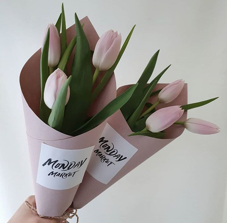 閮侀噾棣欑鐞冪殑鍏绘姢鏂规硶,姘村煿閮侀噾棣欏彂鑺藉悗鍏绘姢