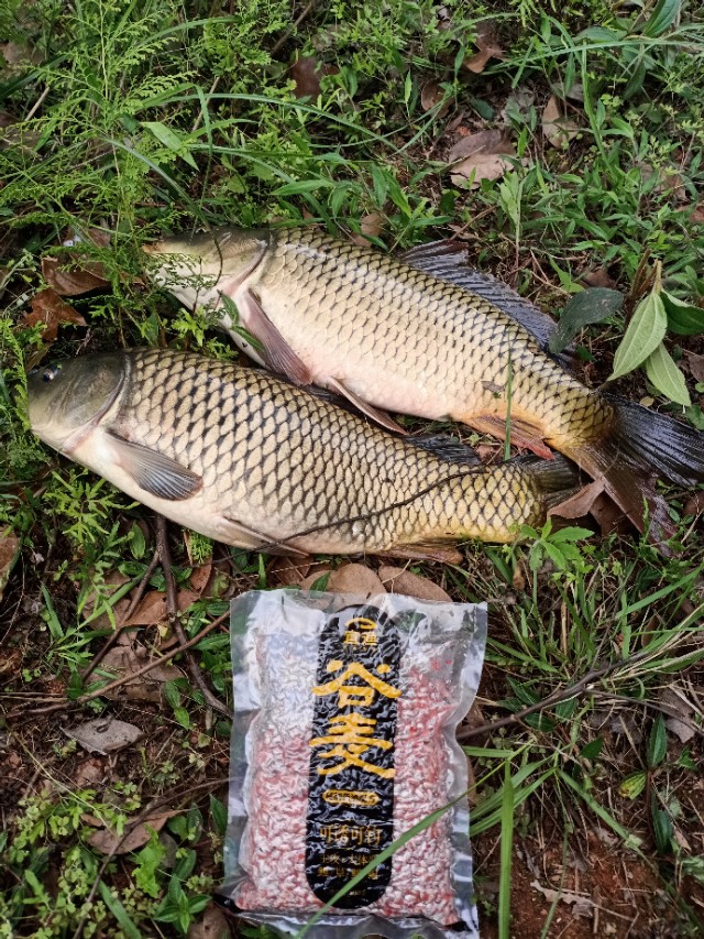 手竿钓鱼的灵魂,鱼饵深海元素