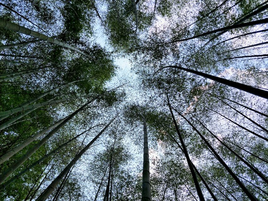 徒步，攀岩，入得山中便是仙