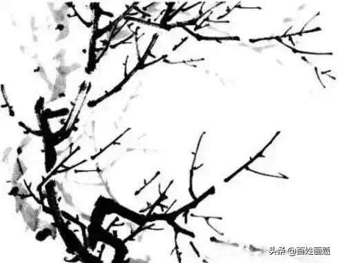 国画梅花画法视频,徐湛梅花画法教程