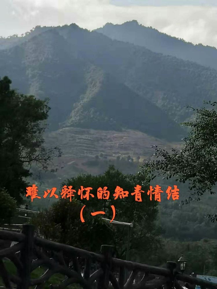 知青情结图片素材,60年代的知青情结