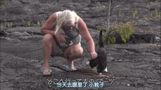 吸猫最高境界图片,吸猫最高境界完整视频