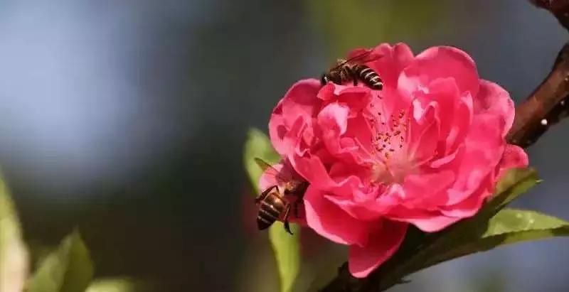 青秀山团建位置,广西团建三日两夜地方推荐