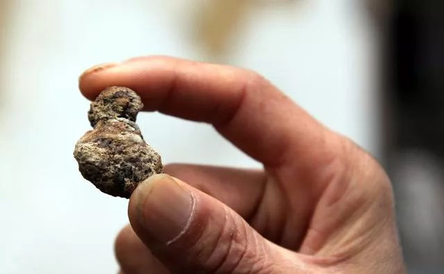 科学研究舍利子到底是什么,从科学角度解答舍利子