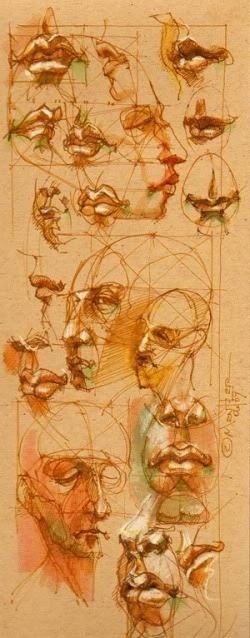 透视表现空间的基本方法,透视解剖学原理书籍