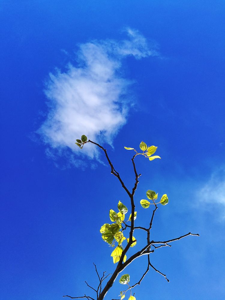 后期调色是怎么回事,后期调色多难