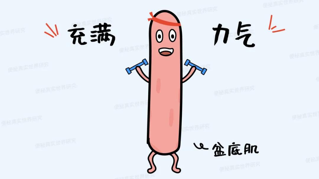 大便堵在肛门处,医生却让我多做这个动作