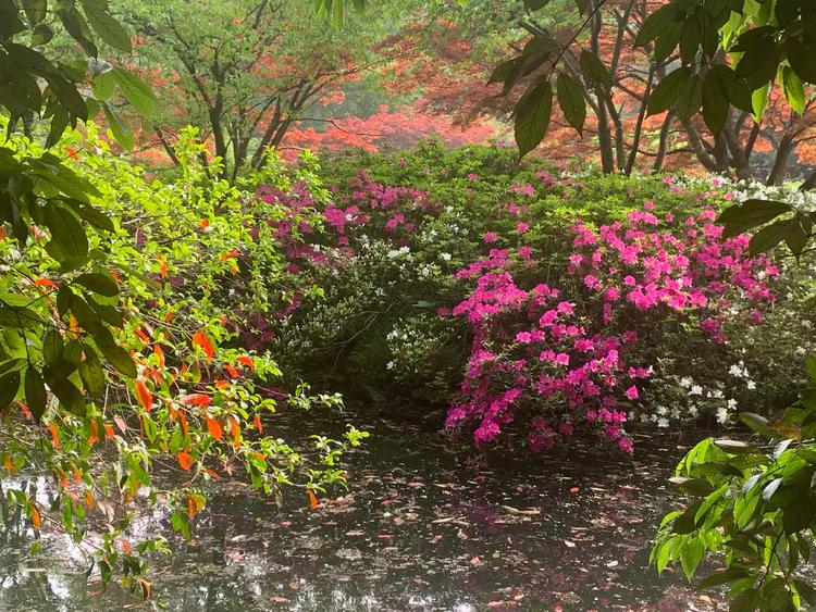 龙井村九溪十八涧徒步最佳路线图,九溪十八涧只有龙井村一个出口吗