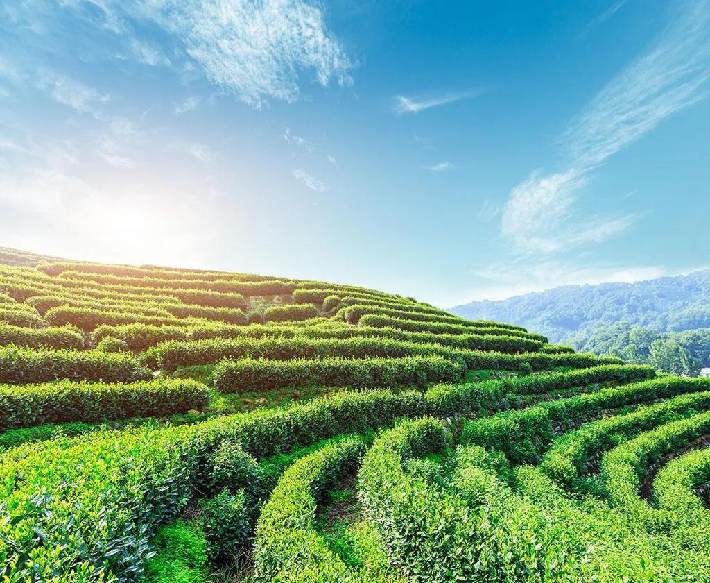 南昌真的要火了吗,南昌即将发展的地方