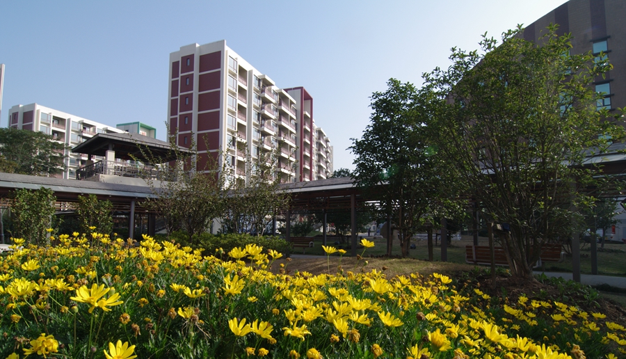 我的家在甘家口,我的家在家乡