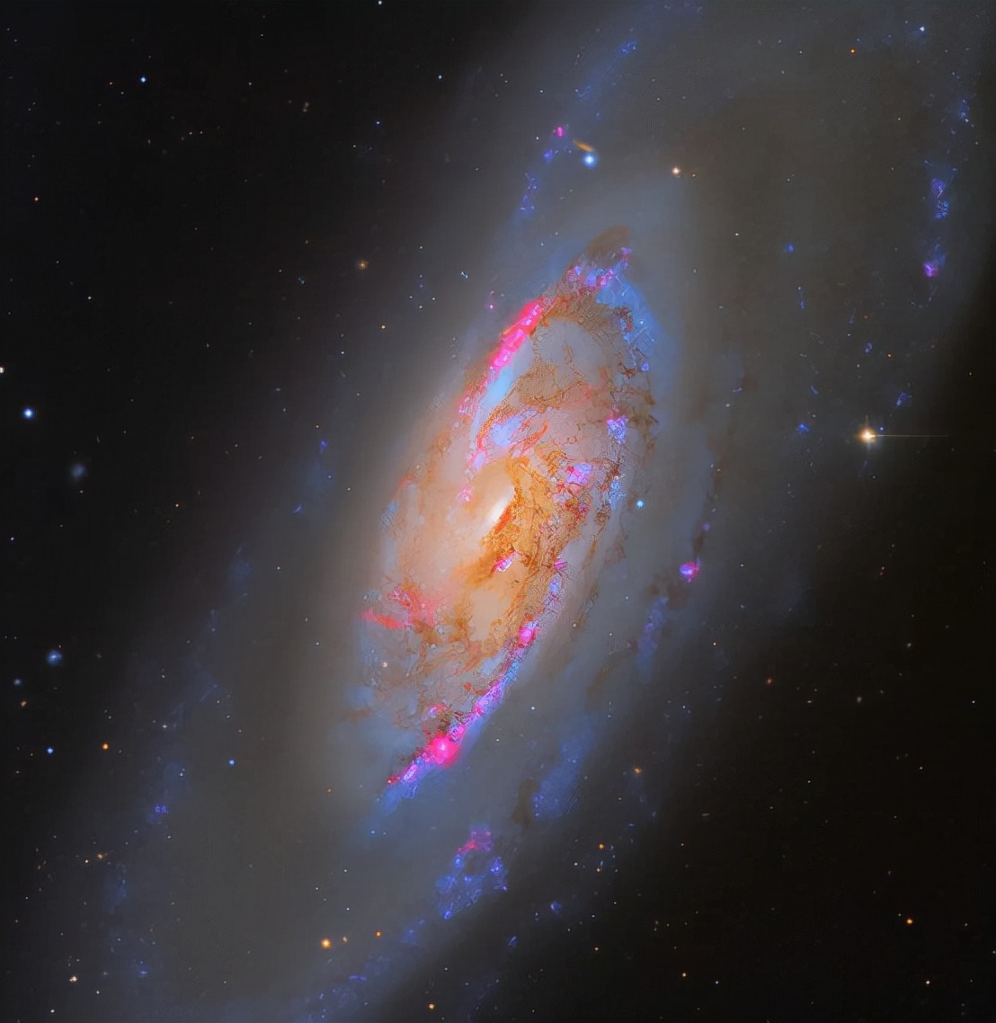 天文望远镜的使用方法,天文摄影望远镜