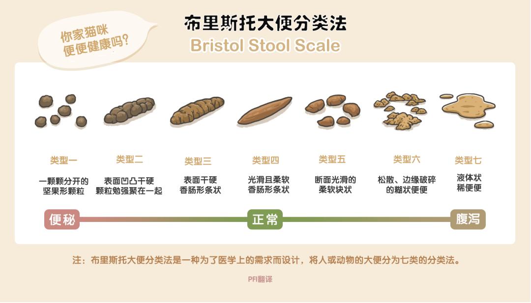 猫咪毛球症引起的便秘怎么办,猫咪便秘还呕吐是什么原因