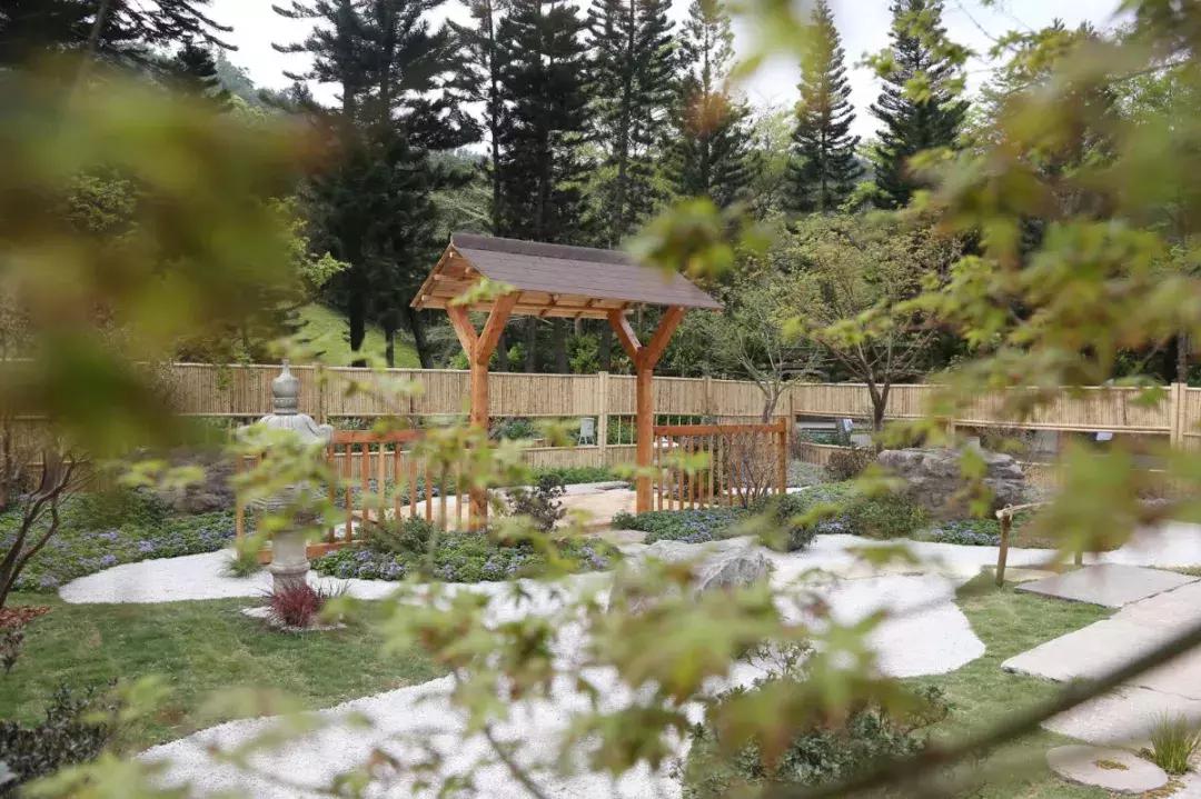 未来10天预警，深圳最最最最火的地方在这里，美女都赶来打卡