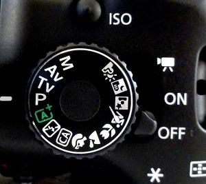 单反相机小白拍照技巧,单反相机场景拍摄技巧