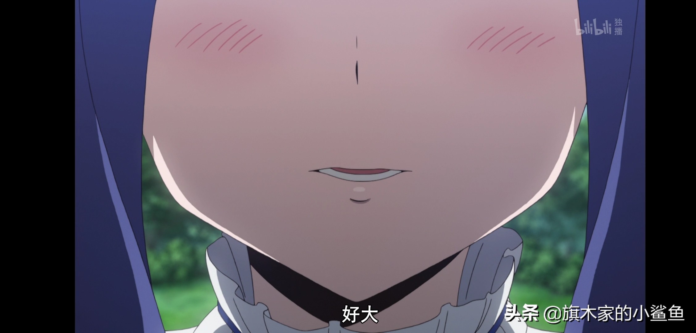 盾之勇者菲洛莉亚,盾之勇者菲洛鸟视频