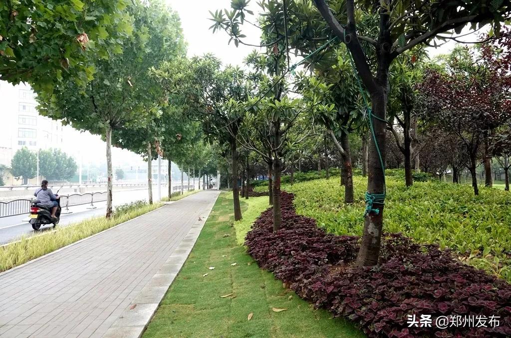 广州长隆野生动物园全览图,郑州第一野生动物园在什么地方