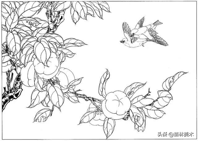 现代国画工笔花鸟白描及完整版,路雨年工笔白描花鸟团扇高清图片