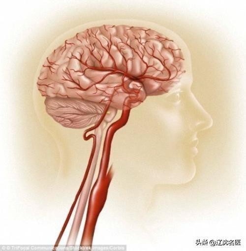 沈阳医大二院手足外科专家,沈阳现代医院治疗偏瘫