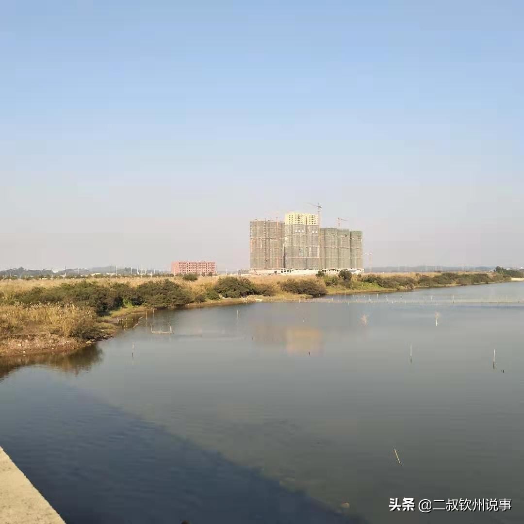 钦州港新城,钦州港金鼓新城区规划图