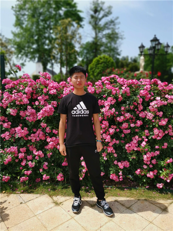 陈飞飞武昌理工学院,陈飞飞英语视频