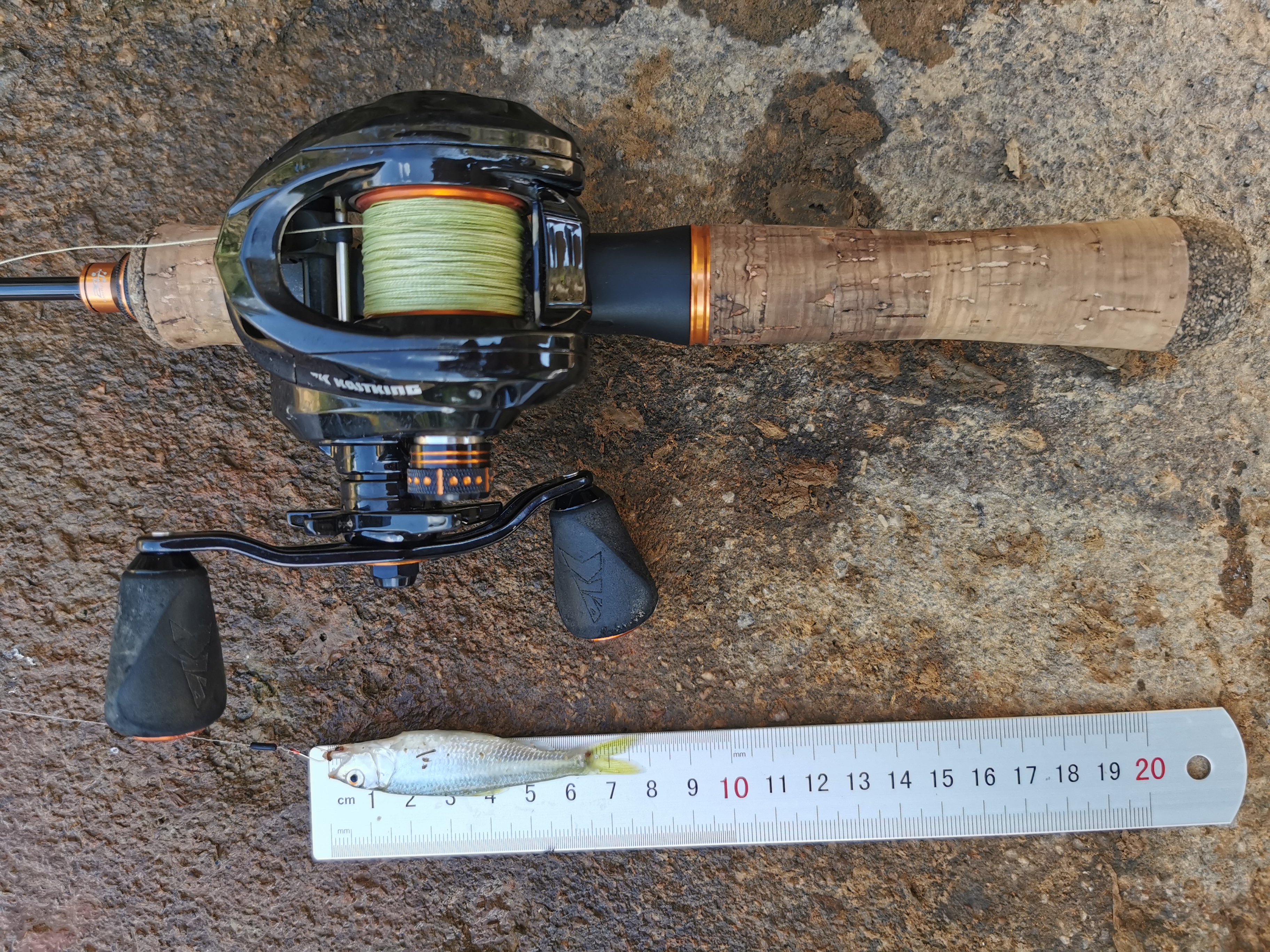 路亚马口技巧和选点,路亚马口用旋转亮片还是马口亮片