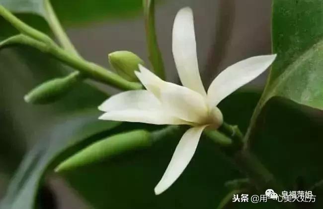 教你一招告别嘴唇干裂出血,嘴唇不痛不出血干裂脱皮怎么回事