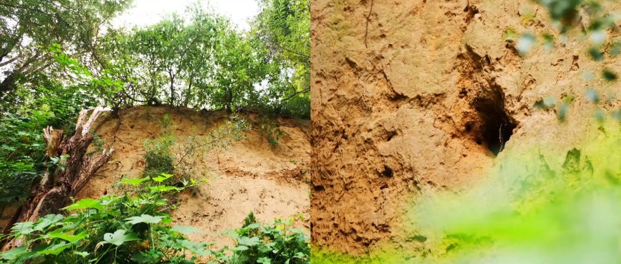 閮戝窞椋為笩瀹跺洯鍥剧墖澶у叏,閮戝窞椋為笩瀹跺洯椋庢櫙