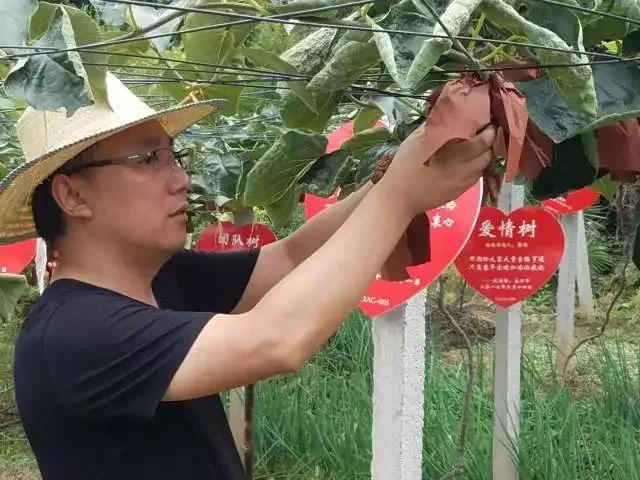 2020乡村振兴补贴新政策出台,乡村振兴2023最新政策解读