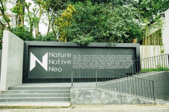 放弃一线城市年薪30万回老家,放弃30万年薪隐居深山