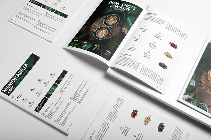 深圳企业宣传画册制作流程,深圳企业宣传册设计案例