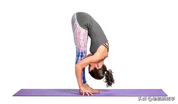 拉伸大筋最好的瑜伽,筋长一寸寿延十年拉伸视频