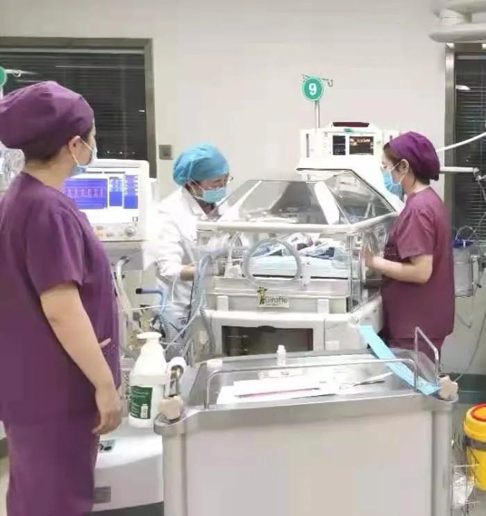 “迷你型小早早”出院了