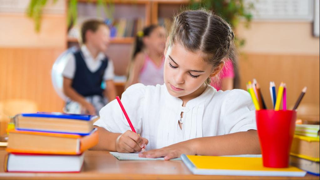 沈阳卓越学校,沈阳优秀的中学