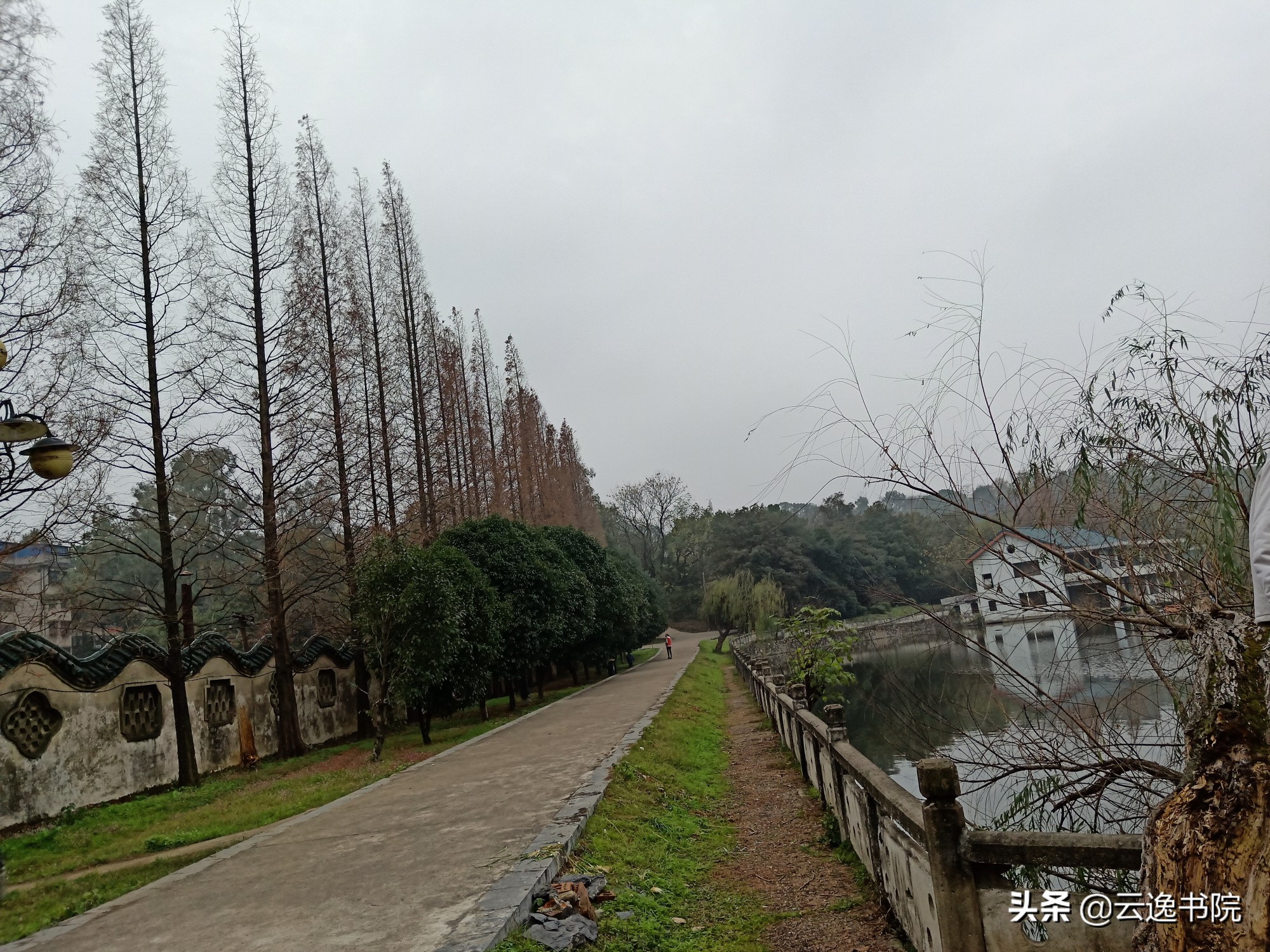 张旭和怀素为什么都被称为草圣,怀素是唐代杰出的书法家史称草圣