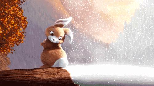 50块钱一瓶的红酒是不是假的,几十块的进口红酒是真的吗