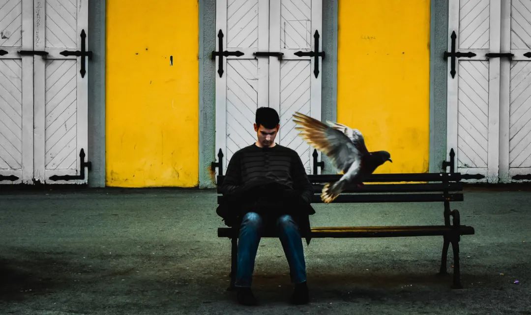 塞尔维亚中国互免关税,和中国互免签证的国家七大洲汇总