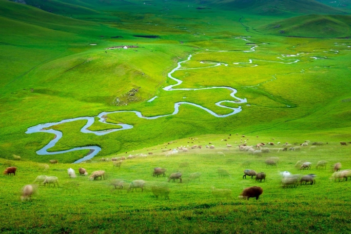 购物团真相,购物团不买东西会怎样