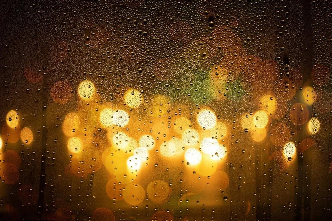 6月份上海有什么重大活动,上海未来会发生的五件事