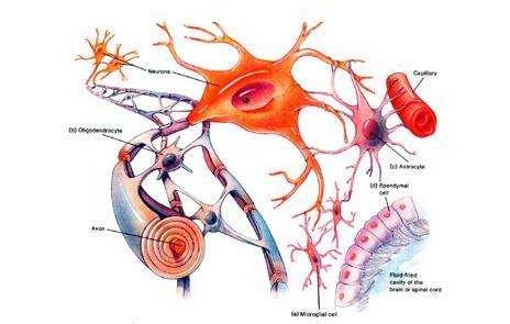 得了腰椎间盘突出原来可以这么治,腰椎间盘突出不要忽略的治疗方法