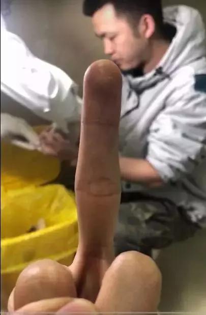 会咬鱼的观赏鱼,观赏鱼哪些不会咬人