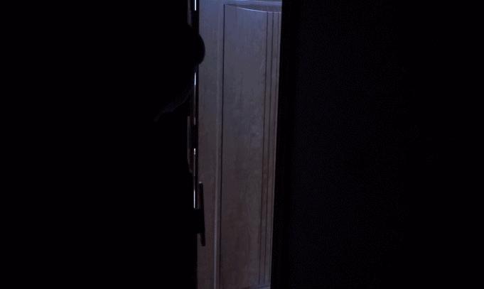 德施曼智能锁3d人脸识别评测,德施曼麒麟r82024年