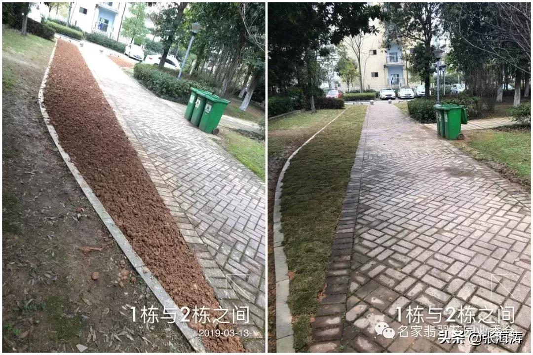 业委会整改小区绿化,名家翡翠花园业委会