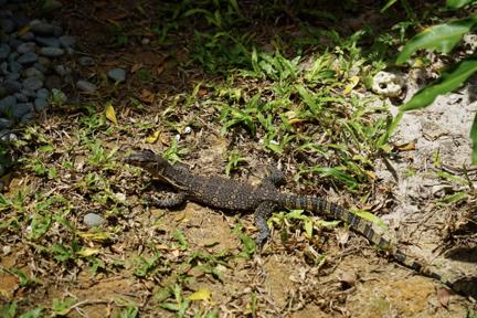 热浪岛浪中岛停泊岛哪个好,热浪岛停泊岛浪中岛