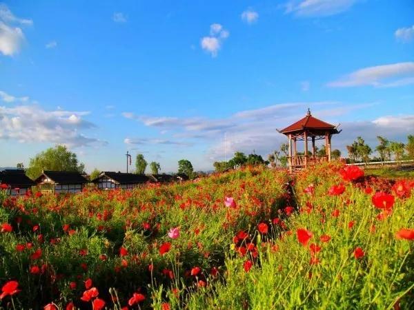 重庆科学城美景,重庆科学公园最新规划