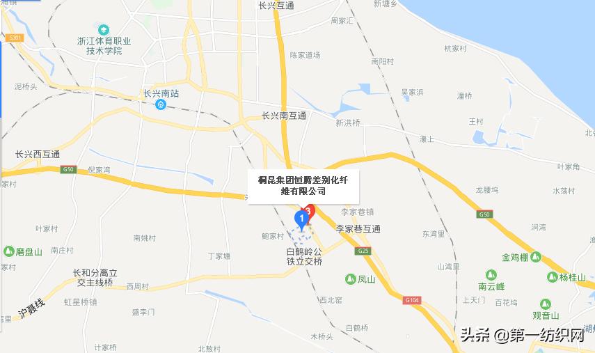 桐昆股份投资500亿项目,桐昆股份耗资亿元回购