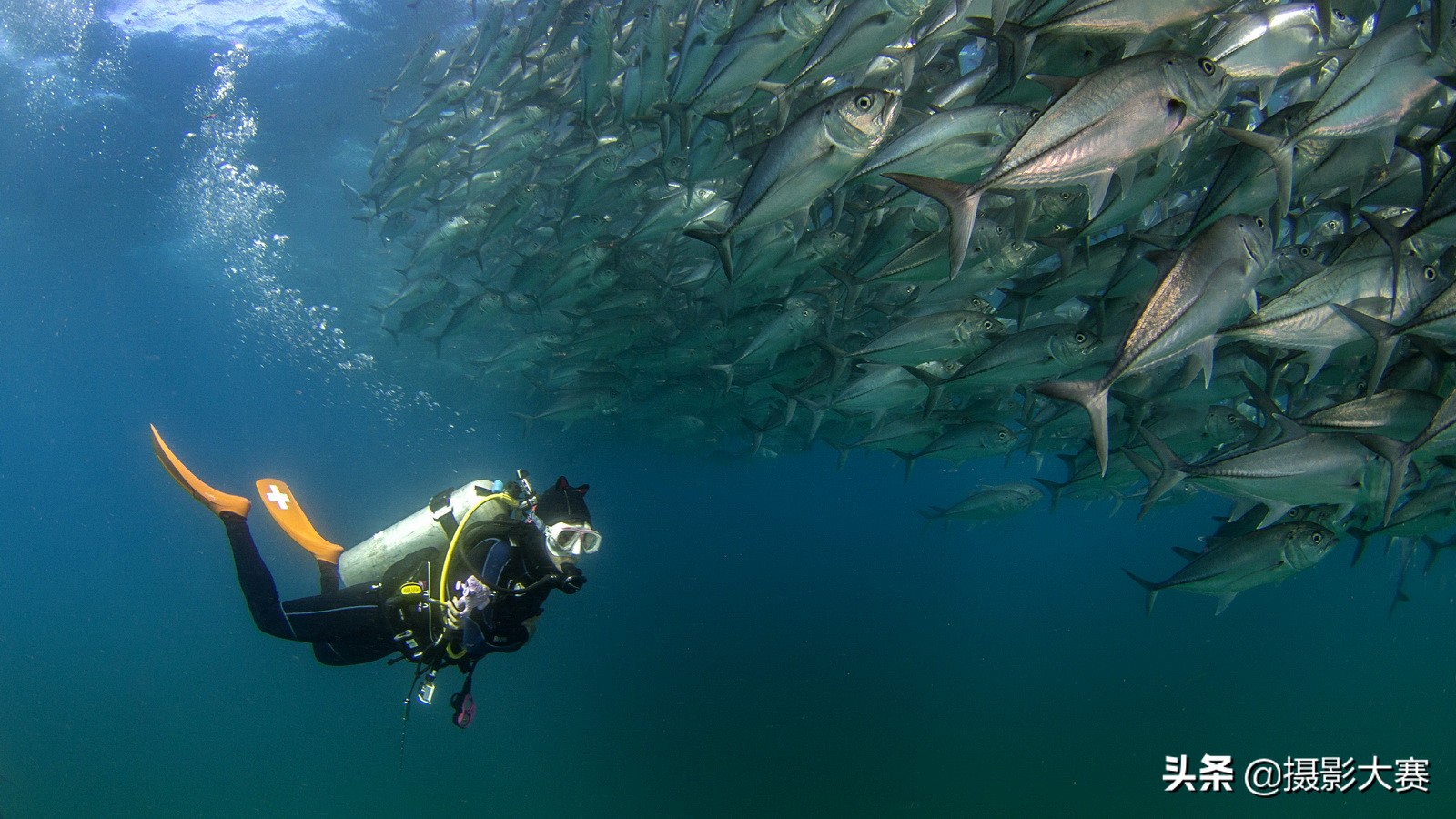 尼康摄影大赛什么时候开始,2023尼康摄影大赛官方网站