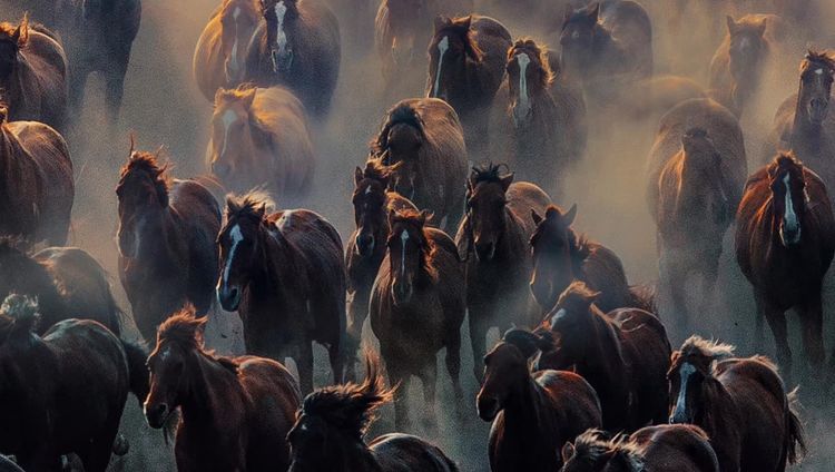 国际旅游摄影作品欣赏,国际旅游摄影官网