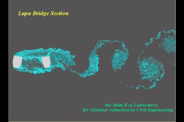 虎门大桥异常抖动如波浪现场照片,虎门大桥晃动是哪个桥